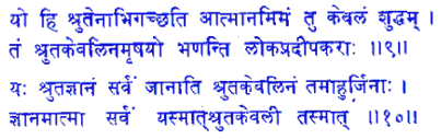 san009.gif (10703 bytes)