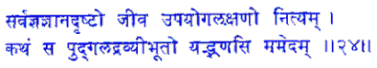 san024.gif (5950 bytes)