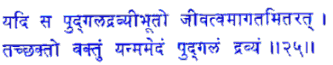 san025.gif (5347 bytes)