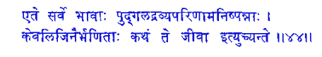 san044.gif (4853 bytes)