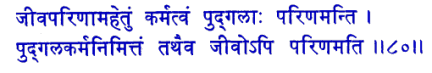 san080.gif (7390 bytes)