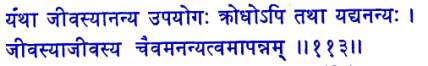 san113.gif (7256 bytes)