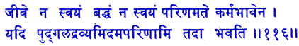 san116.gif (7015 bytes)
