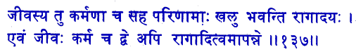 san137.gif (7230 bytes)