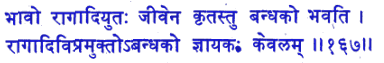 san167.gif (6309 bytes)