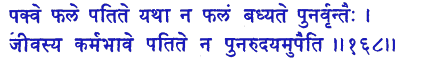 san168.gif (5425 bytes)