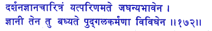 san172.gif (5310 bytes)