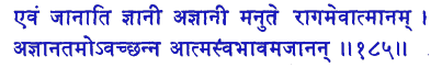 san185.gif (5262 bytes)