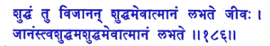 san186.gif (6102 bytes)