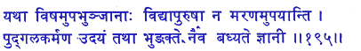 san195.gif (5155 bytes)