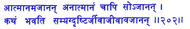 san202.gif (5482 bytes)