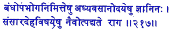 san217.gif (6312 bytes)