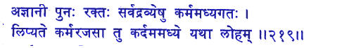 san219.gif (5551 bytes)