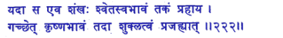 san222.gif (5495 bytes)