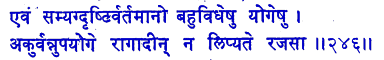 san246.gif (5196 bytes)