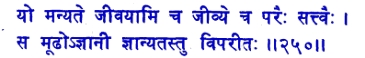 san250.gif (5306 bytes)