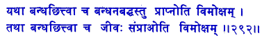 san292.gif (4994 bytes)