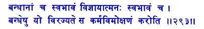 san293.gif (4922 bytes)