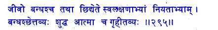 san295.gif (5142 bytes)