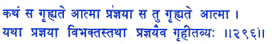 san296.gif (5213 bytes)