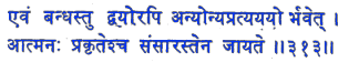san313.gif (5087 bytes)