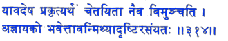 san314.gif (5394 bytes)