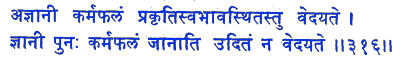 san316.gif (5361 bytes)