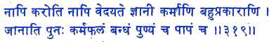 san319.gif (5340 bytes)