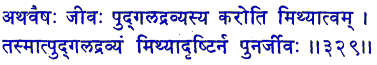 san329.gif (5683 bytes)
