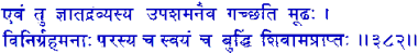san382.gif (4112 bytes)